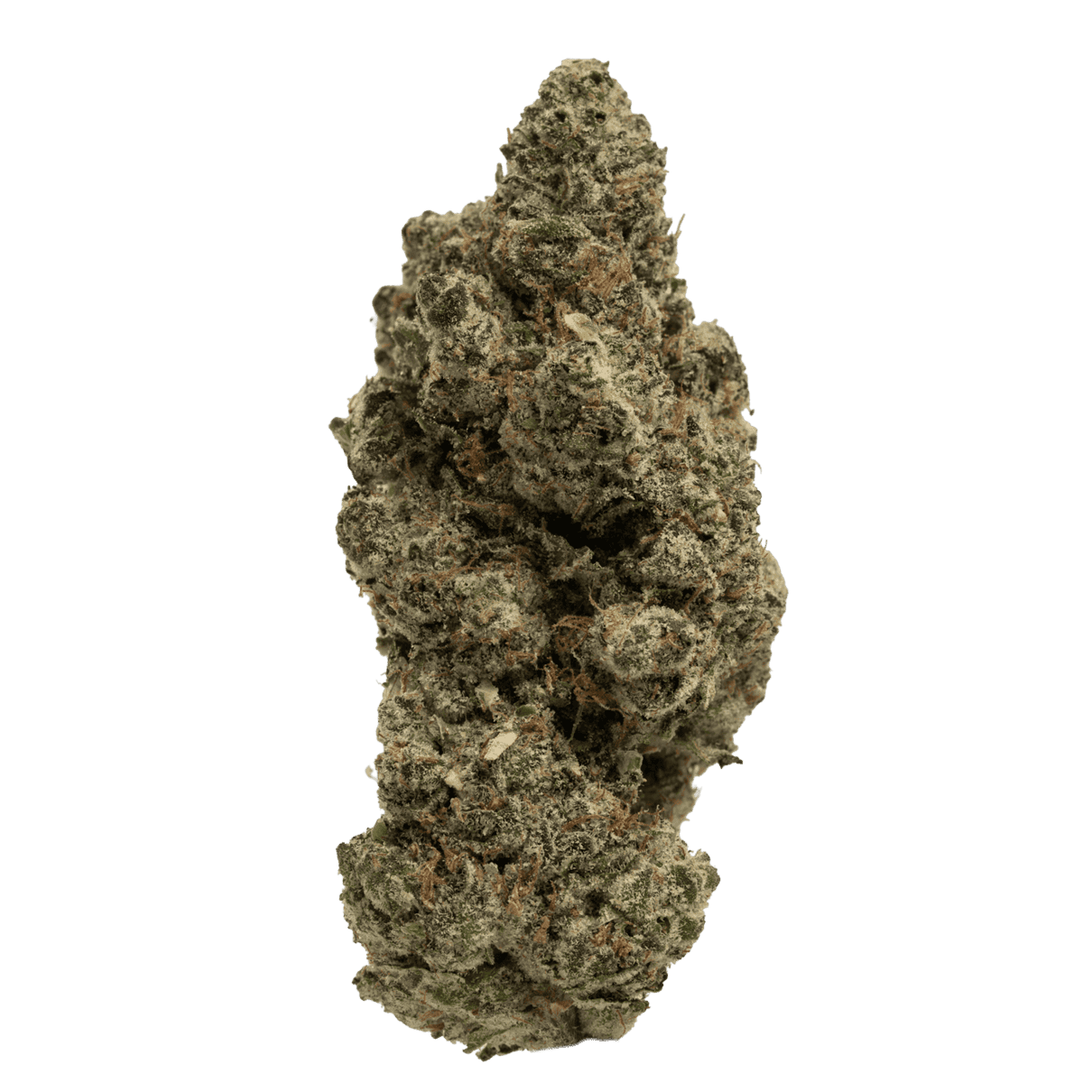 Mule Fuel
