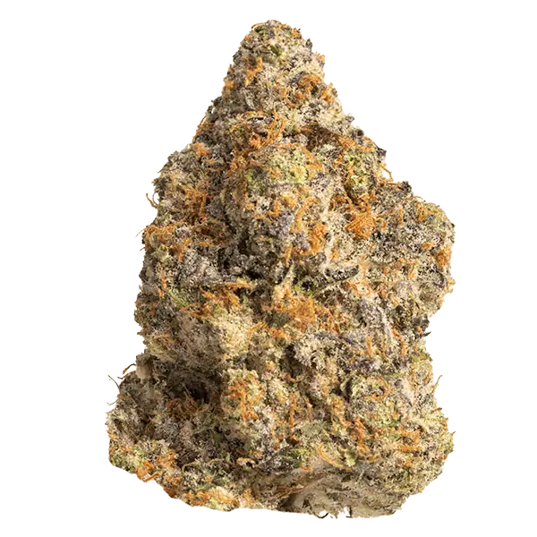 Animal Treez