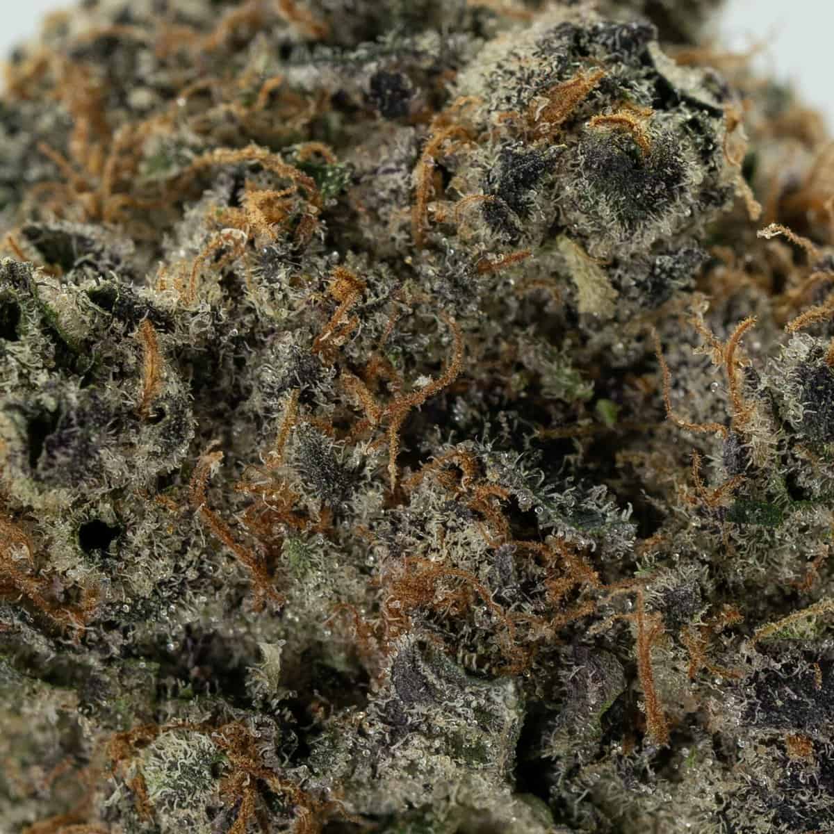 Grape Gas