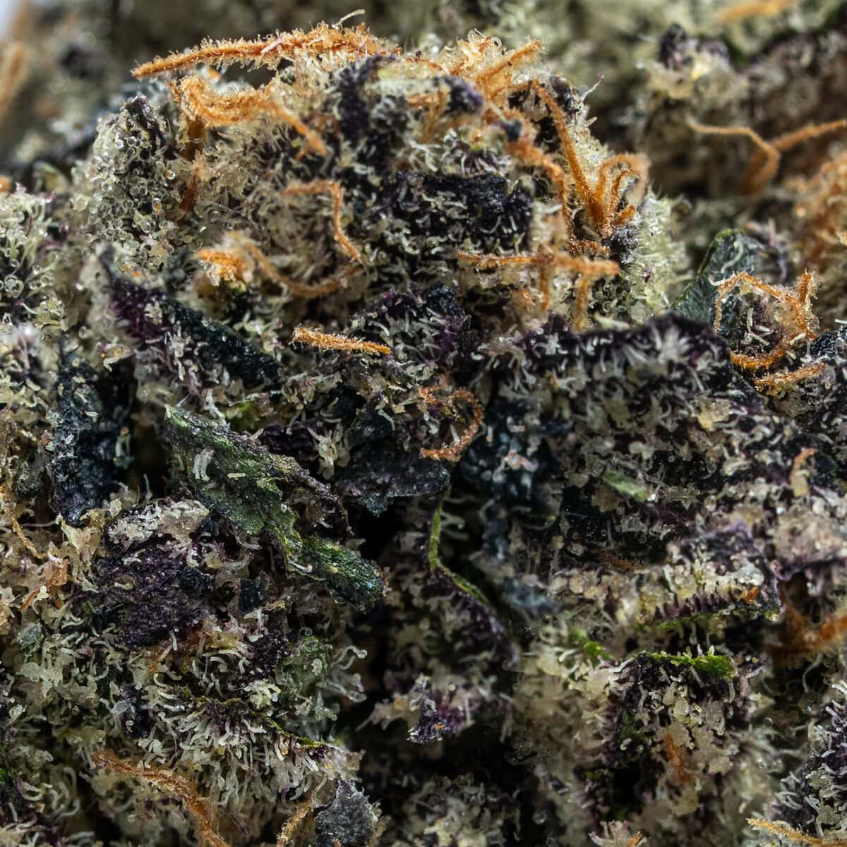 Lemon Cherry Swirl #32
