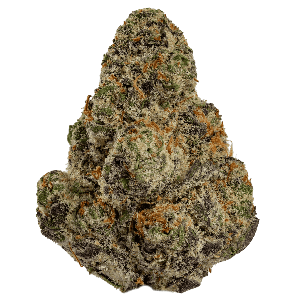 Glitter Bomb