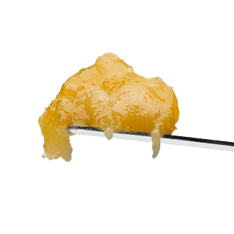 Chronic Guru THC Live Rosin